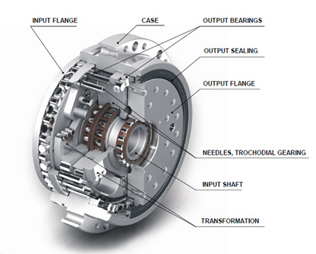 Blog-spinea-reduction_gears